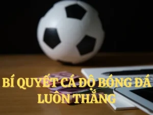 Khám Phá Cá Cược Bóng Đá F8Bet Siêu Hấp Dẫn Ngay 3 Khám Phá Cá Cược Bóng Đá F8Bet Siêu Hấp Dẫn Ngay
