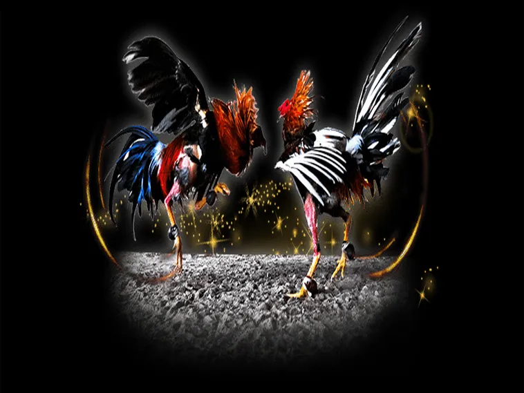 Hướng Dẫn Chi Tiết Cách Chơi Đá Gà Sabong Tại F8Bet Siêu Hấp Dẫn 2 Hướng Dẫn Chi Tiết Cách Chơi Đá Gà Sabong Tại F8Bet Siêu Hấp Dẫn